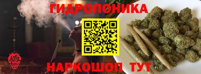 дмт Новодвинск