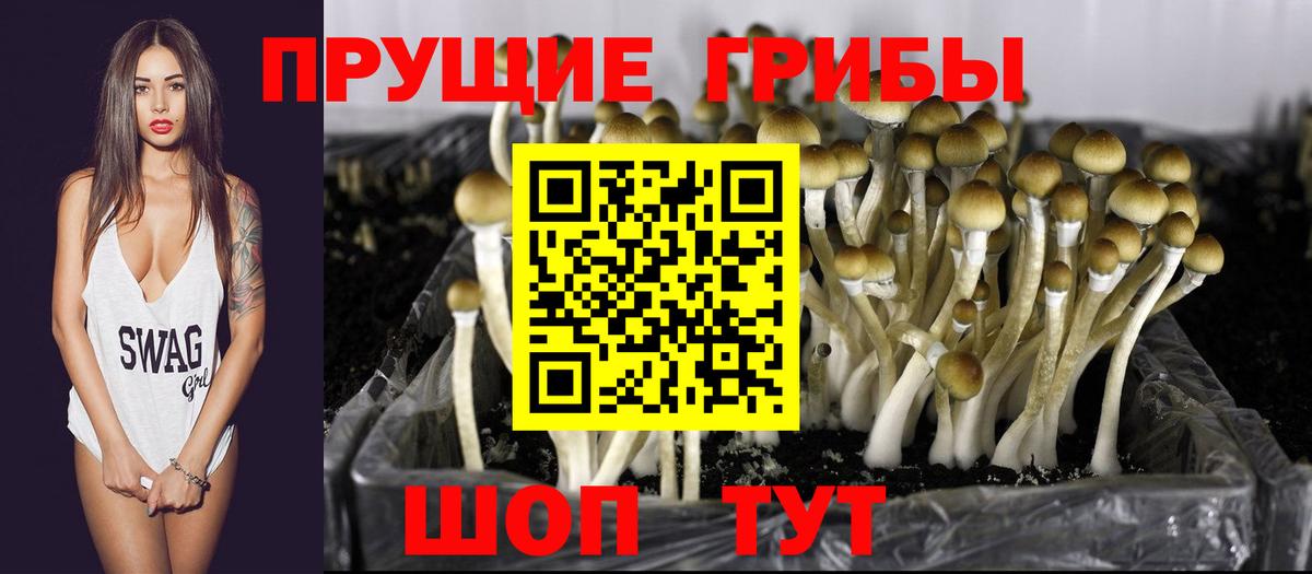 Тихорецк  Псилоцибиновые грибы ЛСД  Псилоцибиновые грибы мицелий  Вход с VPN 